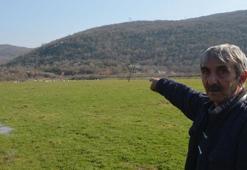 Yüzlerce leylek Savaştepe'de mola verdi