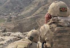 Mardin'de 'Eren Kış-33 Operasyonu' başlatıldı