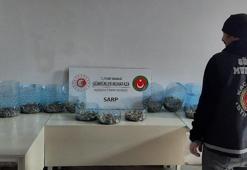 Sarp Sınır Kapısı'nda 1100 su kaplumbağası ele geçirildi