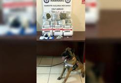 Otomobildeki 6 kilo esrarı 'Hera' buldu