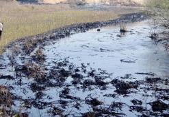 Edirne'de fuel oil kazanı patladı; tonlarca yakıt çevreye yayıldı