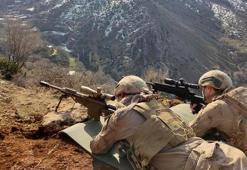 Batman'da Eren Kış-34 Operasyonu başladı