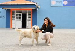 Elmas öğretmenin sahiplendiği 'Badem' okulun maskotu oldu