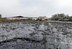 Edirne'de fuel oil havuzu patlayan tesis ÇED'siz çıktı