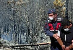 Dalaman’da orman vurgunu