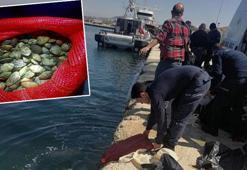 Yunanistan’a götürülmek istenen 1 ton kaçak midye ele geçirildi