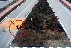 Sokak köpeklerinin genç kıza saldırdığı anlar kamerada