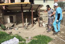 Yasaklı ırk köpek besleyen ve kayıt altına almayan sahibine 15 bin lira ceza