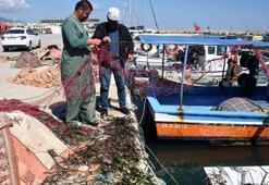 Yasağa rağmen algarna yöntemiyle deniz patlıcanı avına tepki