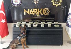 Van'da araçtaki 15 kilo eroini 'Thor' buldu