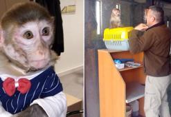 Kayseri'de beslenmesi yasak maymuna el konuldu