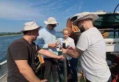 Marmara Denizi'nde, toksik tehlikesi