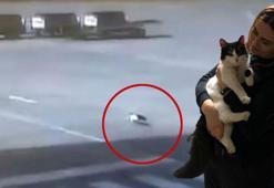 Havalimanında kaybolan kedi 'Aslan'ı, polis buldu
