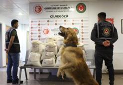 Turşu bidonlarında 2 milyon 422 bin uyuşturucu hap ele geçirildi