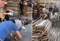 Boya yapan 3 işçi iskeleden düştü