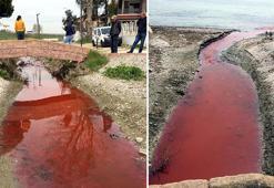 Kamara Deresi, kırmızı akıyor