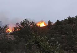 Bodrum'da orman ve makilik yangını