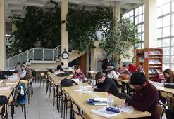 Yenilenecek kütüphanede limon ağacı korunacak