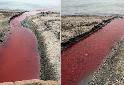 Kamara Deresi'ni kirleten tesise 500 bin lira ceza kesildi, faaliyeti durduruldu