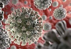 Şangay’da Covid-19’dan ilk can kayıpları açıklandı