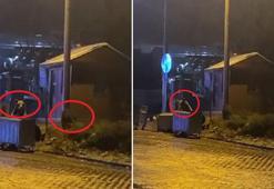 Uludağ’da, yiyecek arayan ayı ailesi görüntülendi