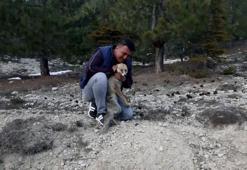 Haftada 2 gün, 'Oğlum' diye seslendiği tilkiyi besliyor