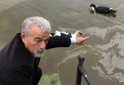 Uluabat Gölü'nde 'su çürüyor' uyarısı