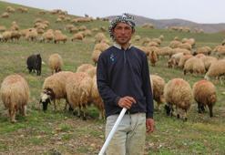 Afganistanlı Abdullah, başlık parası için Tunceli'de çobanlık yapıyor