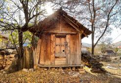 En az 300 yıllık 1737 tahıl ambarı ile arı sereni belgelendi