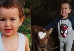 Üzerine pat pat devrilen 3 yaşındaki Yiğit öldü