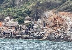 Kuşadası’nda 31 kaçak göçmen kurtarıldı, 5 kayıp göçmenden 1’inin cesedi bulundu