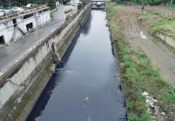 Ayamama deresi yine mavi akmaya başladı