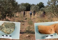 Bergama'da amfora üretim yeri keşfedildi