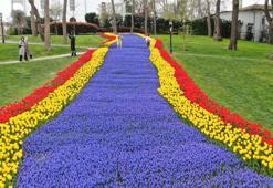 İstanbul'da lale şöleni