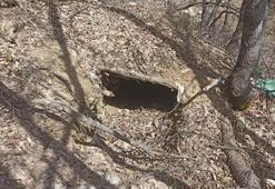 Tunceli'de 'Eren Kış- 23' operasyonunda 5 sığınak imha edildi