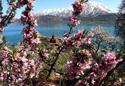 Çiçeklerle kaplanan Akdamar Adası'na fotoğrafçı akını