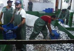 Prof. Dr. Sarı: Boğazlar ve çevrelerinin bir bölümü balık avcılığına kapatılmalı