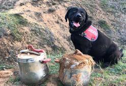 Bingöl'de düdüklü tencerelere yerleştirilmiş EYP bulundu