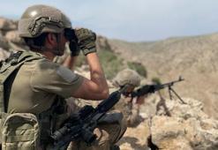 Mardin'de 'Eren Abluka-6 Operasyonu' başlatıldı