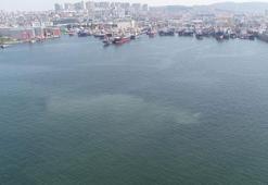 İstanbul sahillerinde müsilaj geri mi dönüyor?