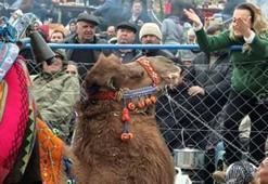'Süperstar' Alev'in develerine el koyuldu, banka hesapları bloke edildi