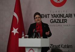 Bakan Yanık: Türkiye Cumhuriyeti Devleti sadece bugünden ibaret değildir