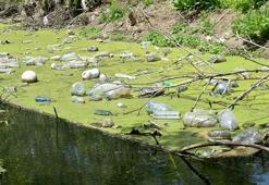 Bayır Deresi, kirlilikten yeşile büründü, üzeri çöplerle kaplandı