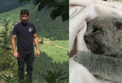 Kedi katiline 2 yıl hapis