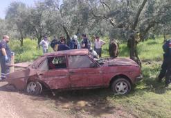 Otomobil, zeytin ağacına çarptı: 2'si bebek 4 yaralı