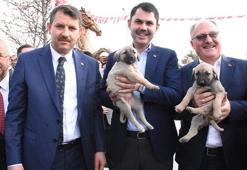 Bakan Kurum: Attığımız her adımda geri dönüşümü önceliklendireceğiz