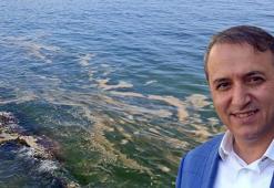 Prof. Dr. Tecer: Marmara Denizi'nde yeniden görülen müsilaj, dibe çökenler