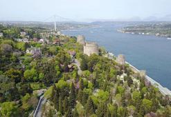 Çiçek açan erguvanlar İstanbul Boğazı'nı süsledi