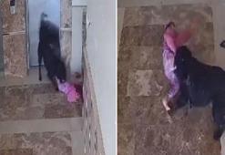 Apartmanın koridorunda oynarken köpeğin saldırdığı çocuğun yaralandığı anlar kamerada