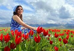 Muş lalesi, ovayı kırmızıya boyadı